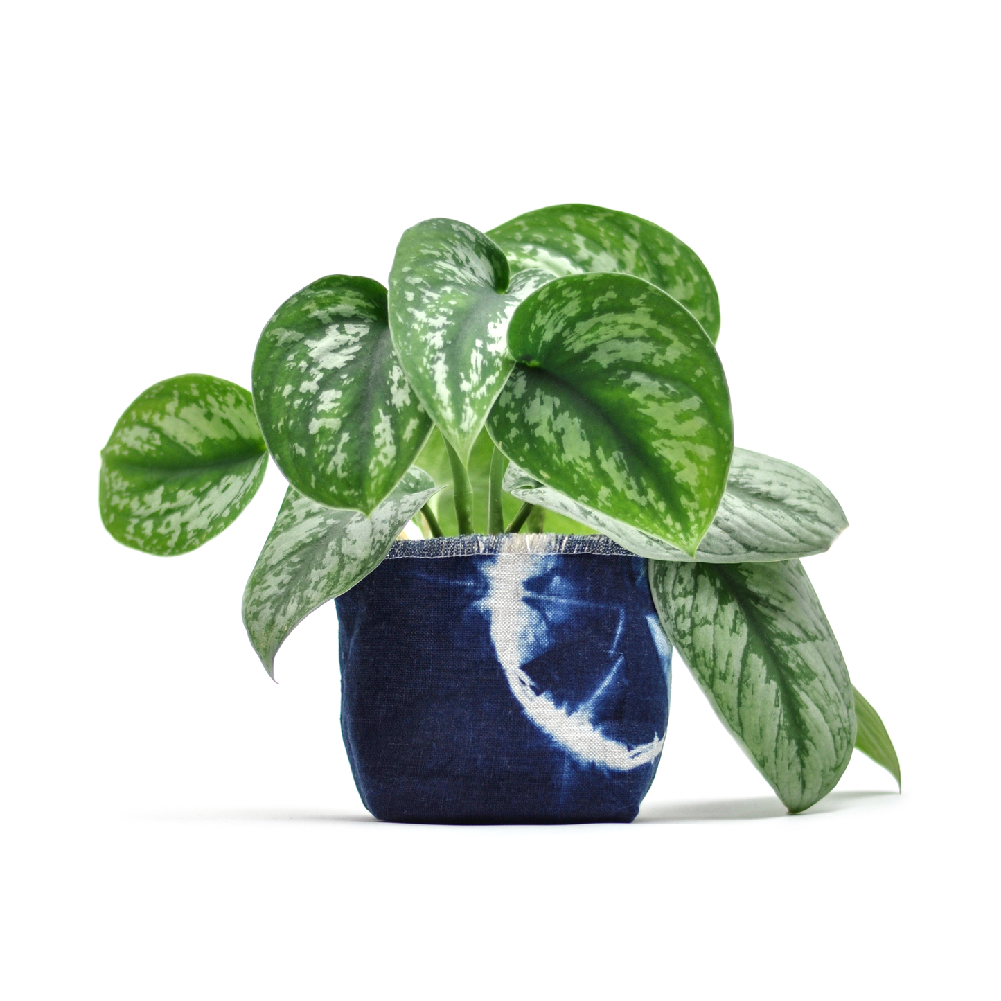 Shibori Indigo Planter—4"